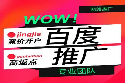 知名SEM公司案例分析：优化策略与成果